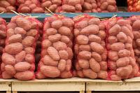 GUS: w lipcu spadki cen produktów rolnych, ziemniaki tańsze o 1/3