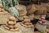 GUS: w sierpniu ceny produktów rolnych niższe o ponad 5%, ziemniaki staniały o ponad 40%