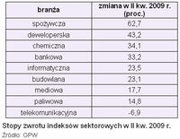 Stopy zwrotu indeksów sektorowych w II kw. 2009 r.