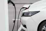 Samochód elektryczny czy spalinowy? Oto porównanie kosztów 12 par aut [© Freepik]