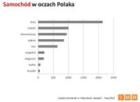 Samochód w oczach Polaka