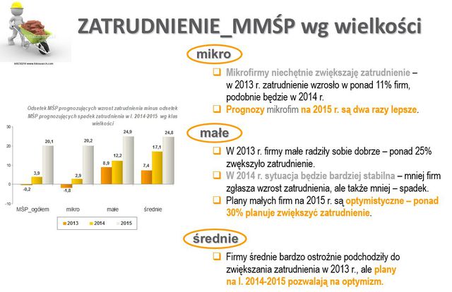 Kondycja sektora MMŚP 2014