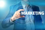 Marketing i sprzedaż w sektorze MSP