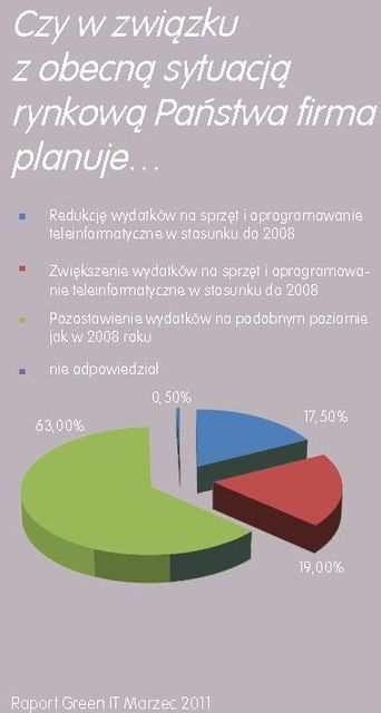 Sektor MŚP a green IT