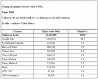 Najpopularniejsze serwisy video w USA