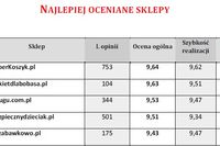 Najlepiej oceniane sklepy internetowe 2009/2010