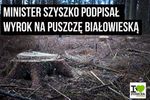 Jak Puszcza Białowieska i minister Szyszko podzielili social media
