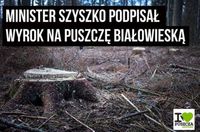 Wpis Greenpeace Polska
