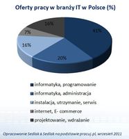 Oferty pracy w branży IT w Polsce (%)