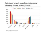 Rejestracje nowych pojazdów w Polsce według rodzaju paliwa (%)
