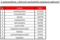 Sprzedaż samochodów używanych I-VI 2010