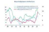 Akcja kredytowa w strefie Euro