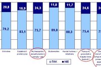 Sytuacja ekonomiczna dużych firm 2009