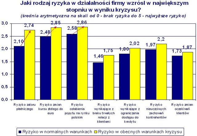 Sytuacja ekonomiczna dużych firm 2009