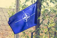 Szczyt NATO w social media