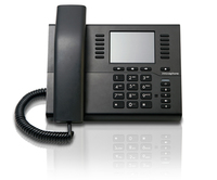 Telefon VoIP IP111