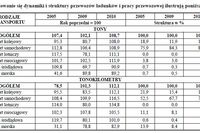 Transport w Polsce - wyniki działalności w 2010 r.