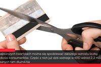 5,2 tys. upadłości konsumenckich w II kwartale 2023 5,2 tys. upadłości konsumenckich w II kwartale 2023