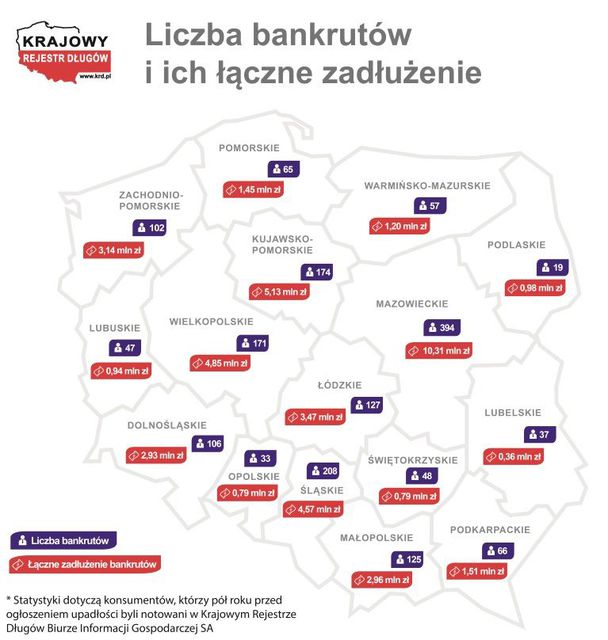 Upadłość konsumencka. Portret polskiego bankruta