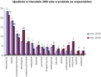 Upadłości w I kwartale 2009 r. w podziale na województwa