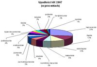 Upadłości I-IX 2007 (w procentach)