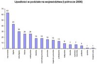 Bankructwa firm w Polsce I-VI 2006