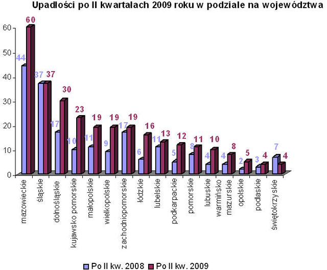 Bankructwa firm w Polsce I-VI 2009