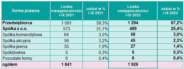 Niewypłacalności firm w Polsce w 3 kwartałach 2022 roku