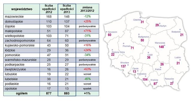 Upadłości firm w Polsce 2013 r.