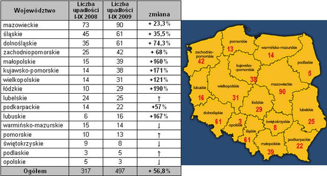 Upadłości firm w Polsce I-IX 2009