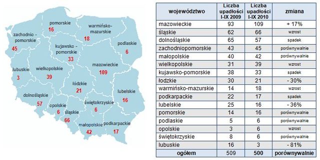 Upadłości firm w Polsce I-IX 2010 r.