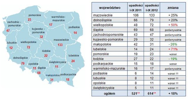 Upadłości firm w Polsce I-IX 2012 r.