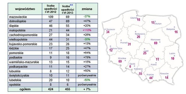 Upadłości firm w Polsce I-VI 2013 r.