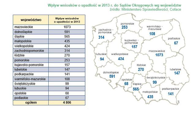 Upadłości firm w Polsce: wnioski 2013 r.