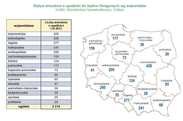 Upadłości firm w Polsce: wnioski w I poł. 2013 r.