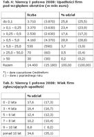 Niemcy I połowa 2008: Upadłości firm pod względem obrotów (w mln euro) oraz wiek firm zgłaszających