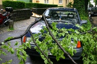 Połamane drzewa niszczą też samochody