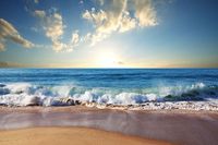 Staż dla bezrobotnego a wymiar urlopu