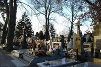 Ustawa o cmentarzach i chowaniu zmarłych do zmiany