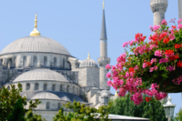 Błękitny Meczet w Istambule