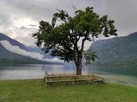 Jezioro Bohinj - dzika natura Alp Julijskich