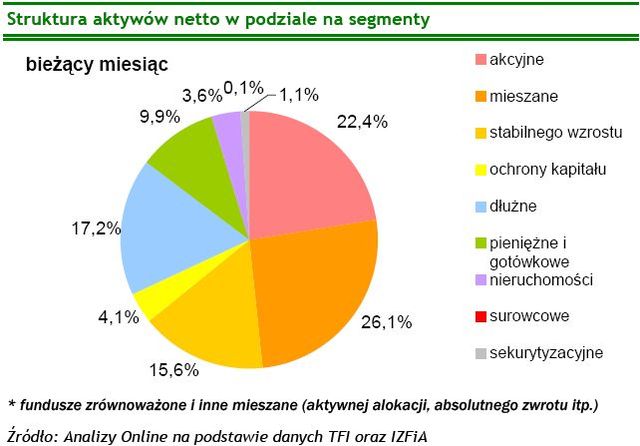 TFI: wartość aktywów netto I 2009