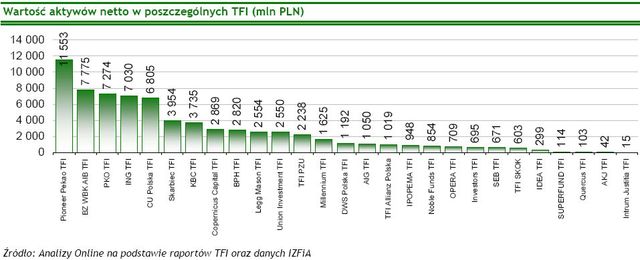 TFI: wartość aktywów netto I 2009