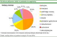 Struktura aktywów netto w podziale na segmenty