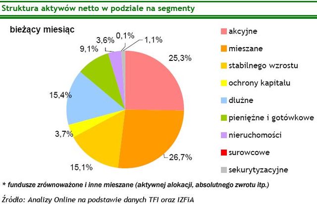 TFI: wartość aktywów netto IV 2009