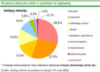 Struktura aktywów netto w podziale na segmenty