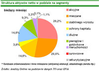 Struktura aktywów netto w podziale na segmenty