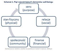 Schemat 1. Pięć najważniejszych elementów well-beingu