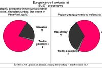 Wolontariat w Europie