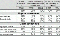 Internet i komputery w Polsce - raport 2005